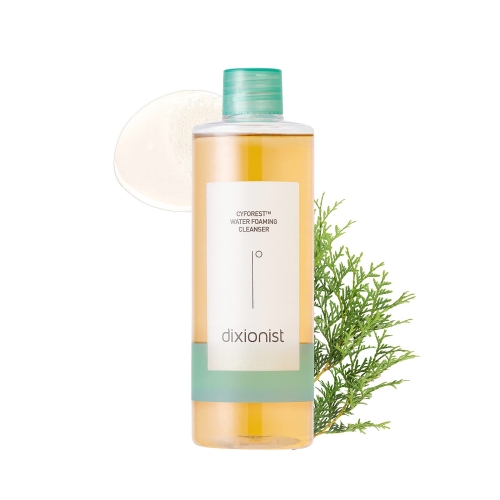 It'S Skin Dixionist Cyforest Water Foaming Cleanser 350ml