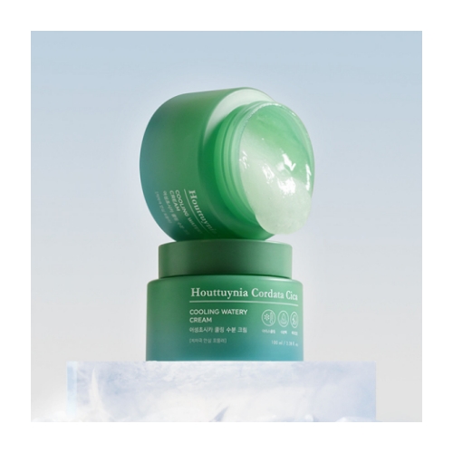 TONYMOLY Houttuynia Cordata Cica Cooling Watery Cream 100ml