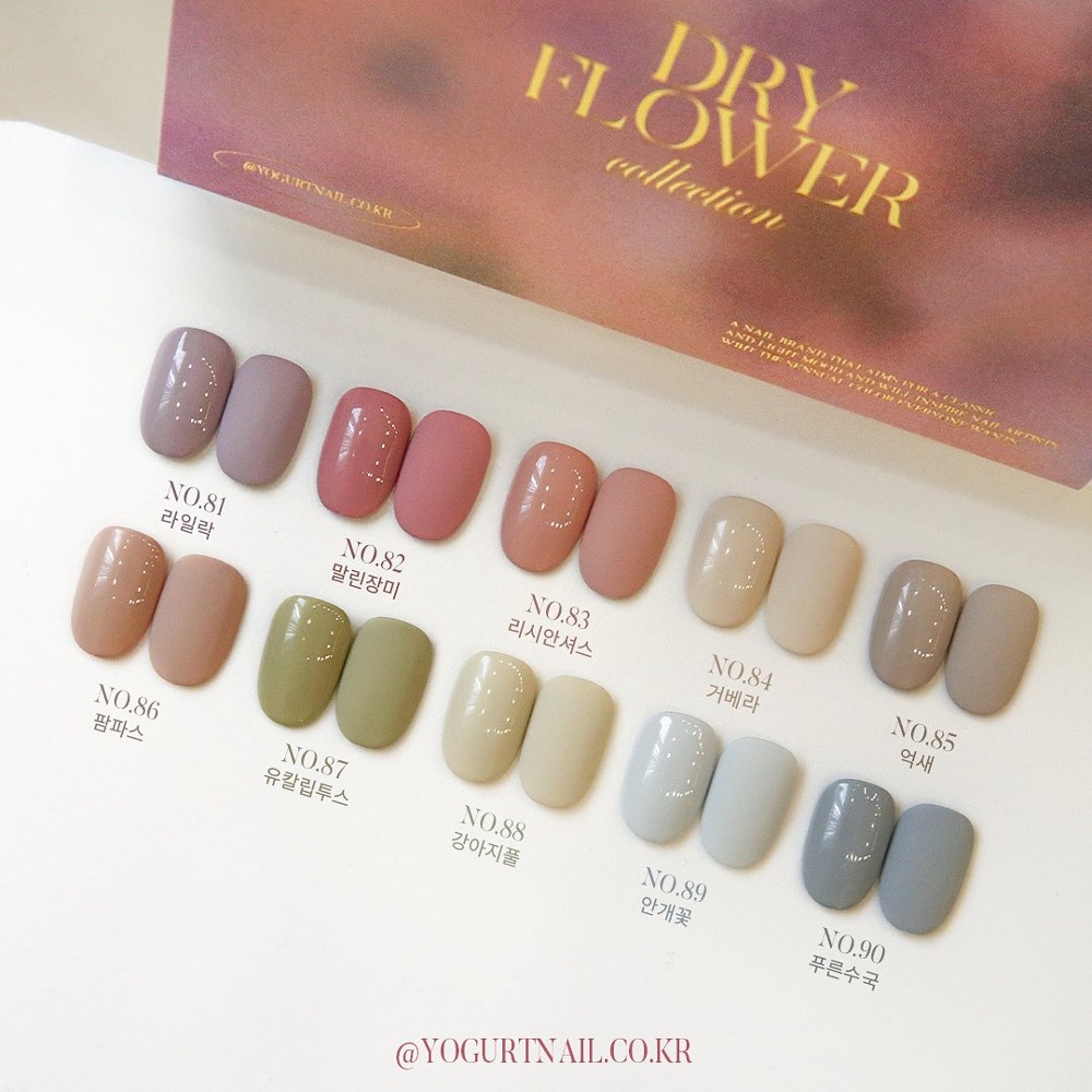 Yogurt Nail Dry Flower 10colors Set