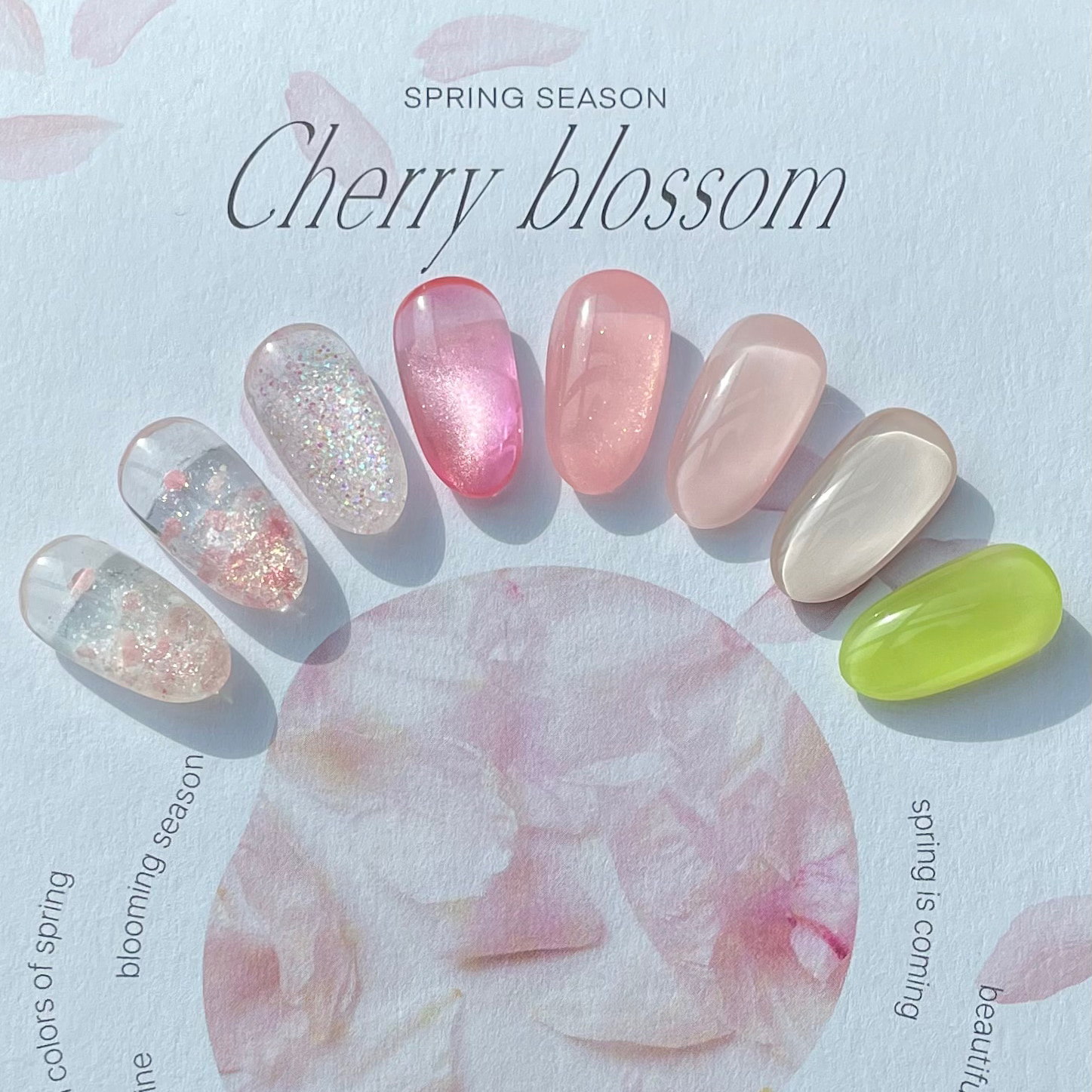DVOK Cherry Blossom 8colors Set