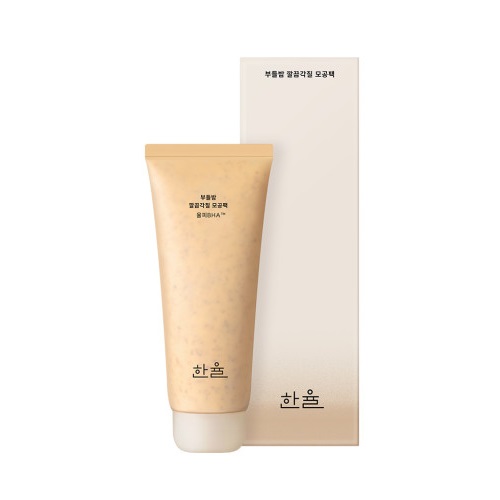 HANYUL Soft Chestnut Clean Exfoliating Pore Clay Mask 100ml