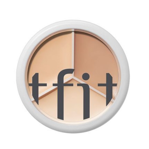 TFIT Cover Up Pro Concealer 15g