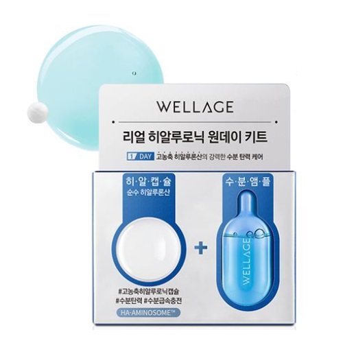 WELLAGE Real Hyaluronic 1 Day Kit 1EA