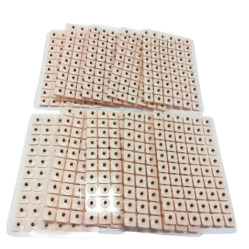 Acupressure Ear Patch Sticker 600 Seed Ear Patches, Diet Massage